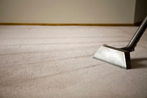 carpet cleaning company in Denver 1