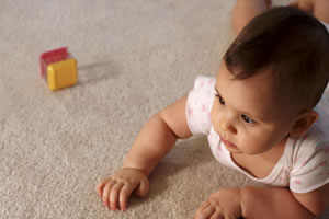 carpet cleaning company in Denver 2
